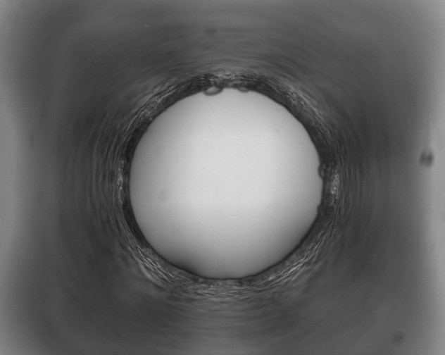 X0000100410868200806060923