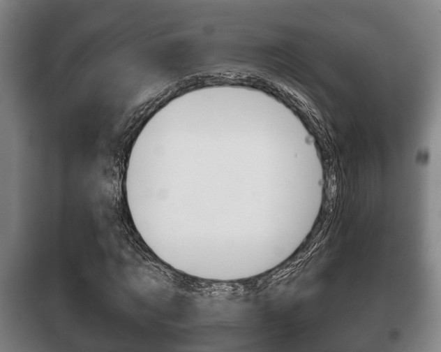 X0000100410869200806060923