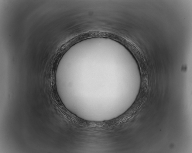 X0000100410870200806060923