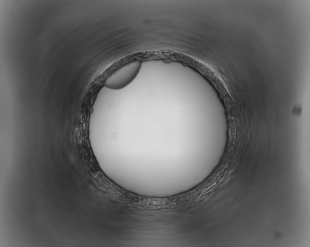 X0000100410871200806060923
