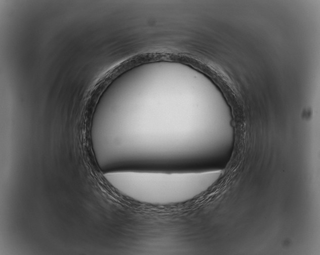 X0000100410872200806060923