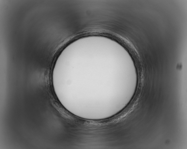 X0000100410873200806060923