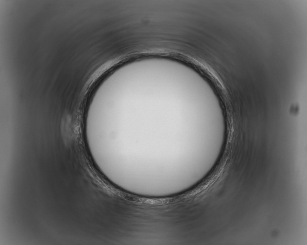 X0000100410874200806060923