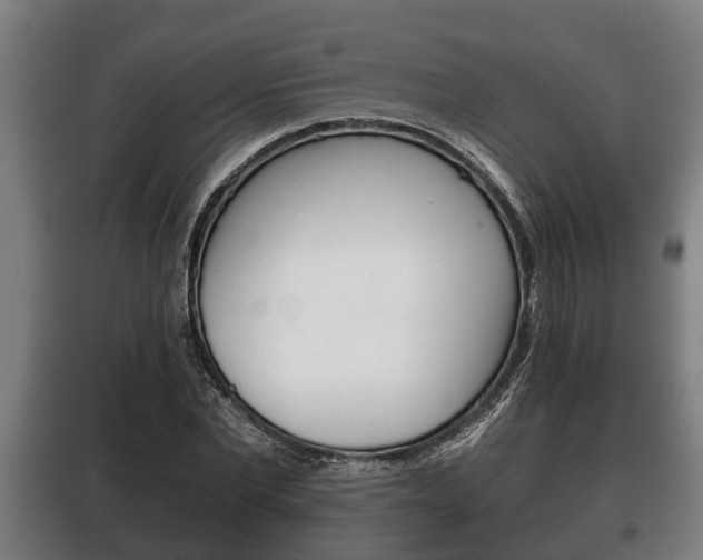 X0000100410877200806060923