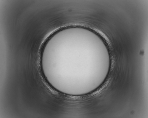 X0000100410878200806060923