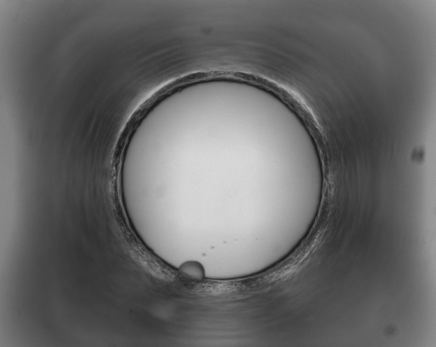 X0000100410879200806060923