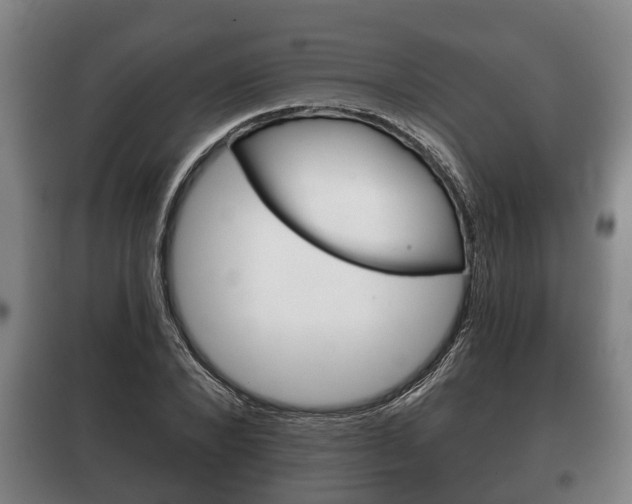 X0000100410880200806060923