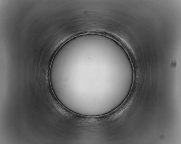 X0000100410881200806060923