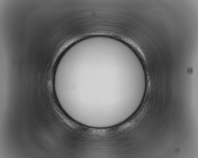 X0000100410882200806060923