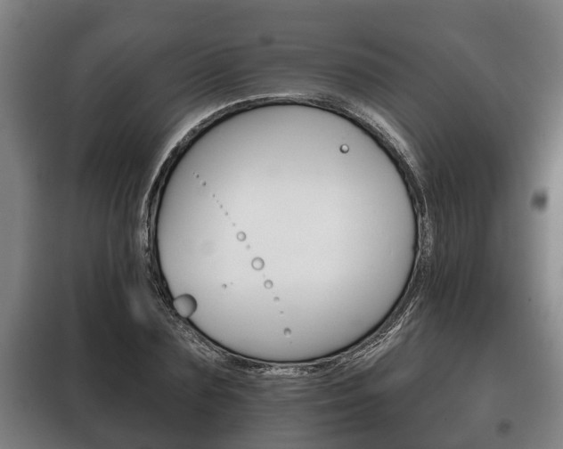 X0000100410883200806060923