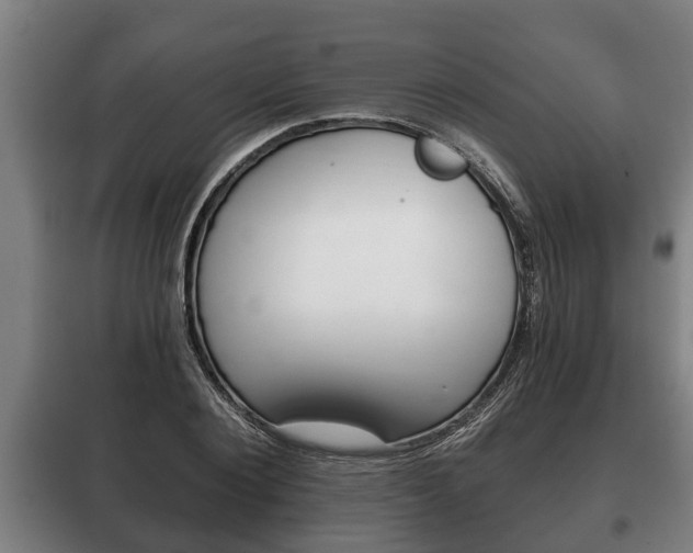 X0000100410884200806060922