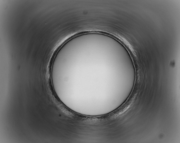 X0000100410885200806060922