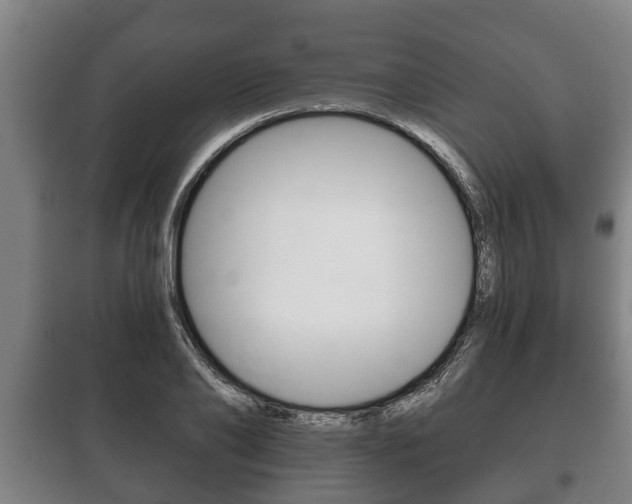 X0000100410886200806060922