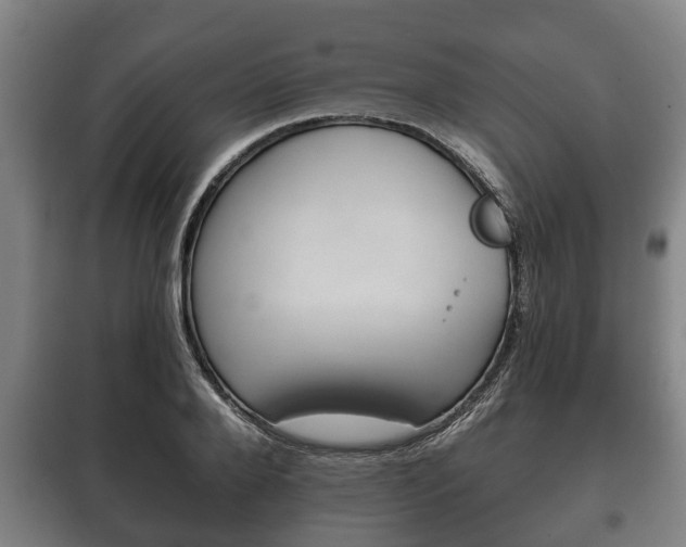 X0000100410888200806060922