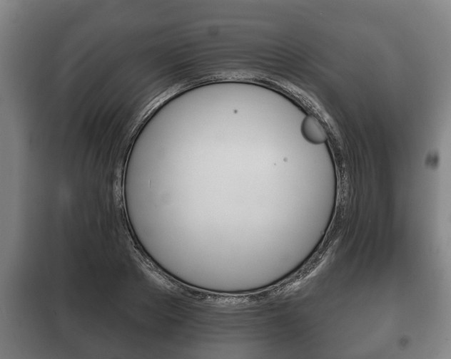 X0000100410889200806060922