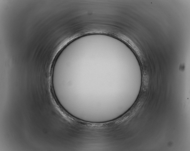 X0000100410890200806060922