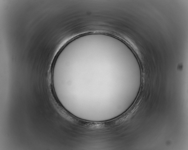 X0000100410891200806060922