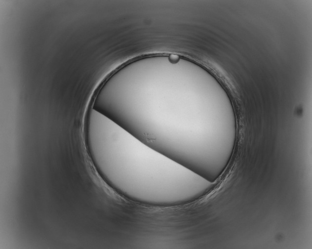 X0000100410892200806060922