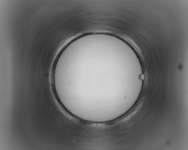 X0000100410893200806060922