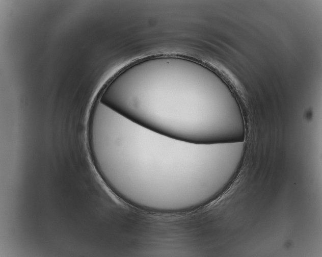 X0000100410894200806060922