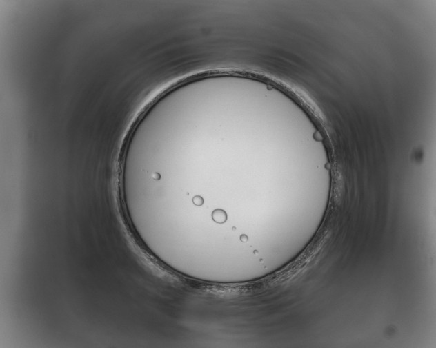 X0000100410895200806060922