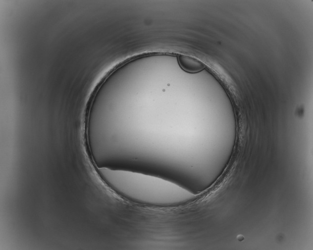 X0000100410896200806060922