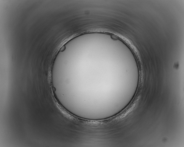 X0000100410897200806060922