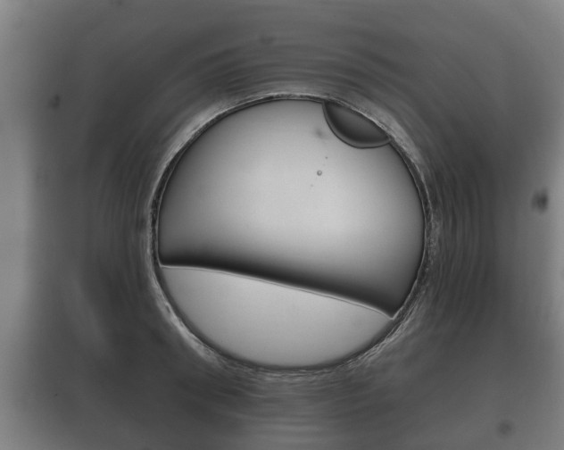 X0000100410898200806060922