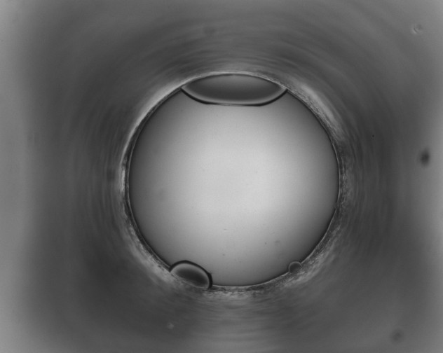 X0000100410900200806060922