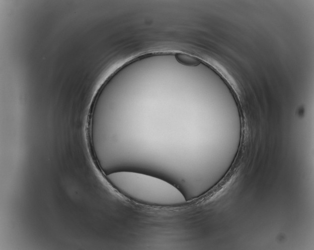 X0000100410901200806060922