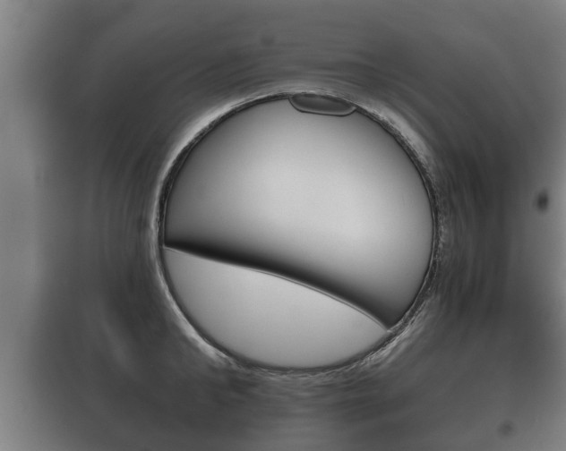 X0000100410902200806060922