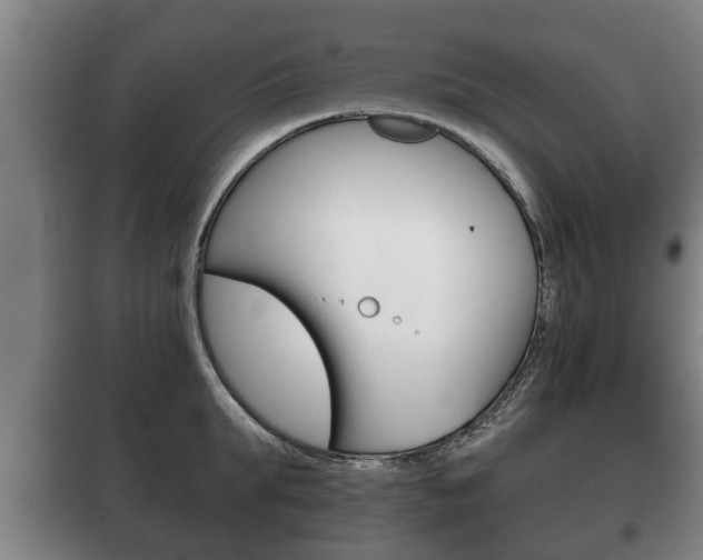X0000100410903200806060922