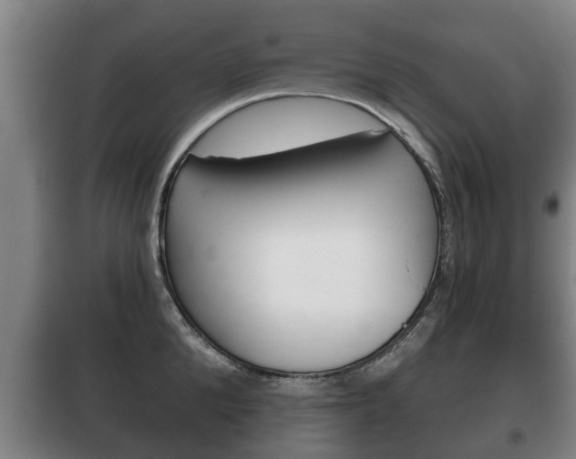 X0000100410904200806060922