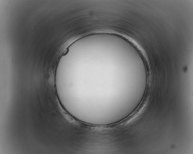 X0000100410905200806060922