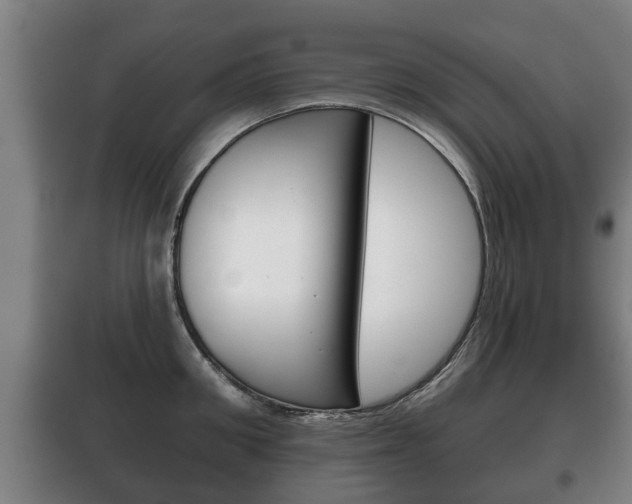 X0000100410906200806060922