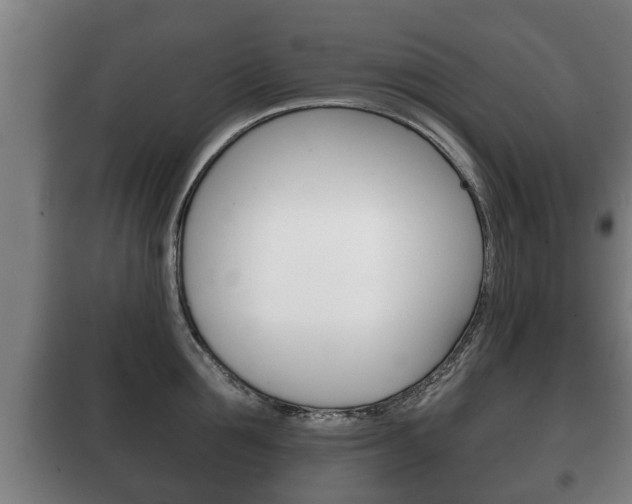 X0000100410907200806060922