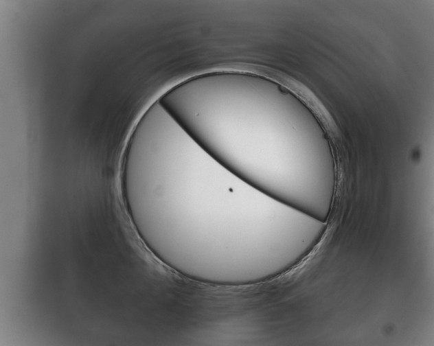 X0000100410908200806060922