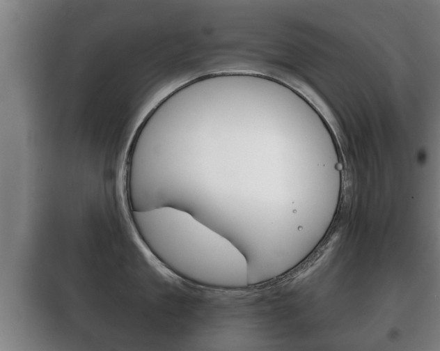 X0000100410909200806060922