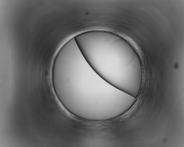 X0000100410910200806060922