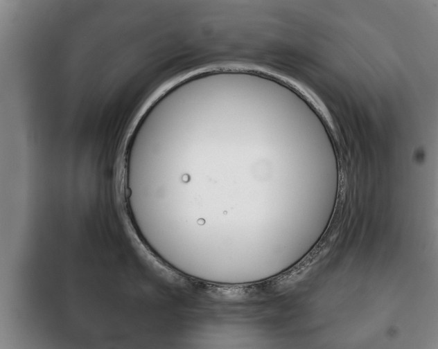 X0000100410911200806060922