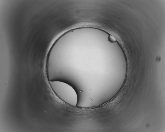 X0000100410912200806060922