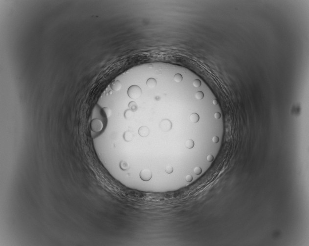 X0000100410913200806060921