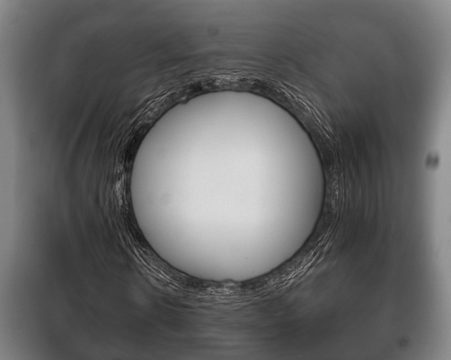 X0000100410914200806060921