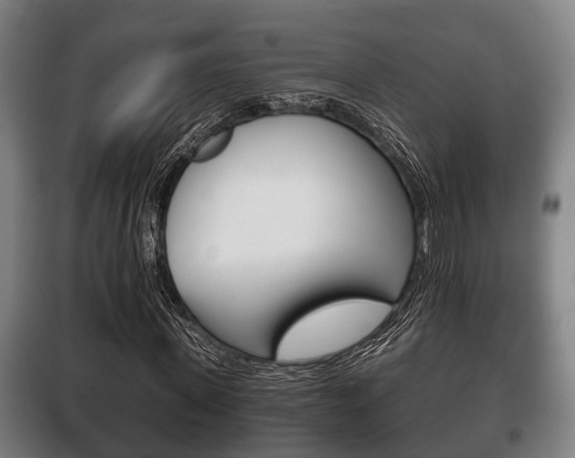 X0000100410915200806060921