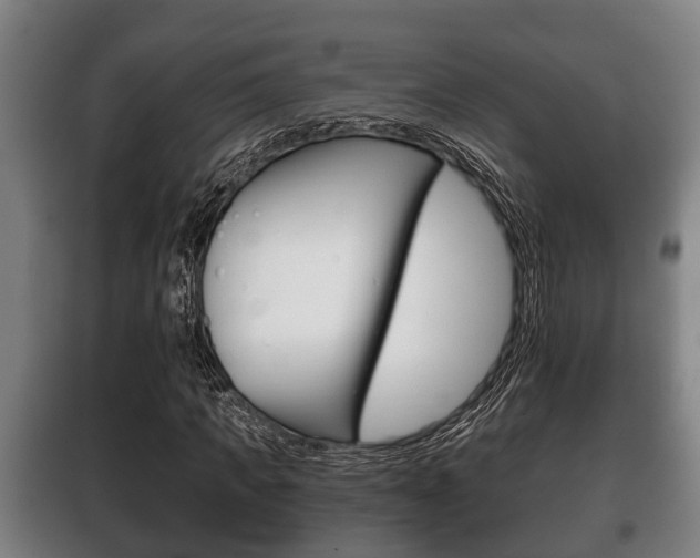 X0000100410917200806060921