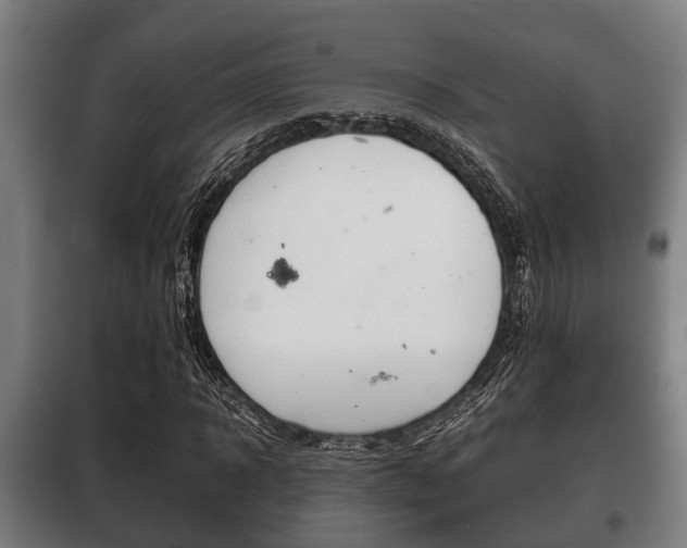 X0000100410918200806060921