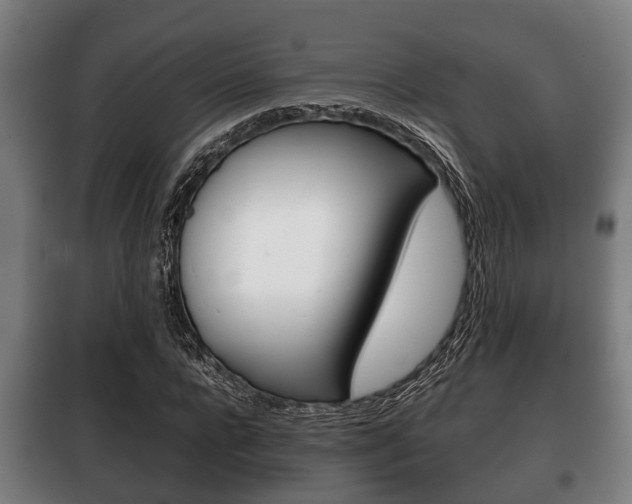 X0000100410920200806060921