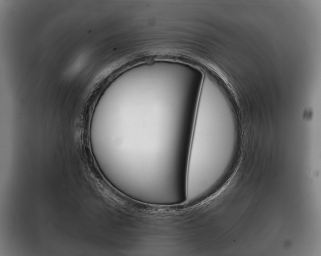 X0000100410922200806060922