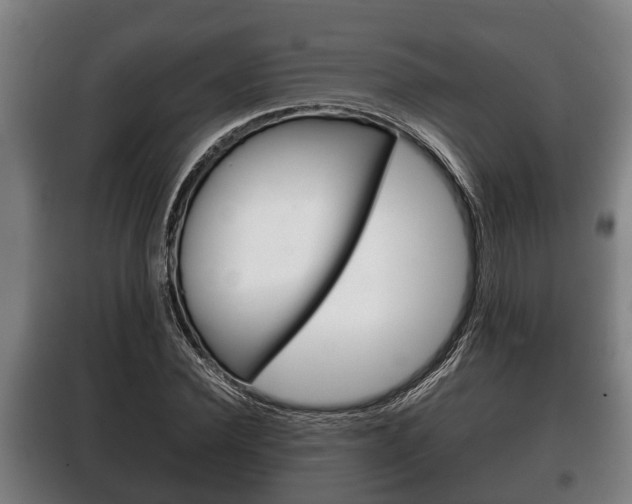 X0000100410924200806060922