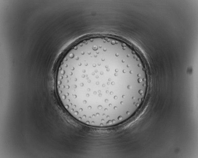 X0000100410925200806060922